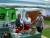 Familienfest 2012 